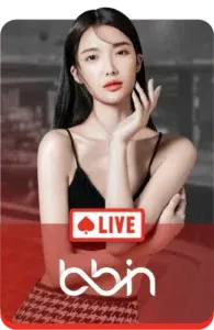 imgi_16_bbin-ezcasino-195x300-1